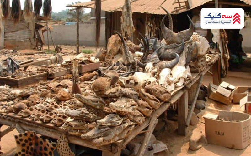 بازار طلسم از وحشتناک ترین جاذبه‌های دنیا