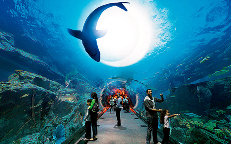 پانزده مکان جذاب برای عکاسی در امارات