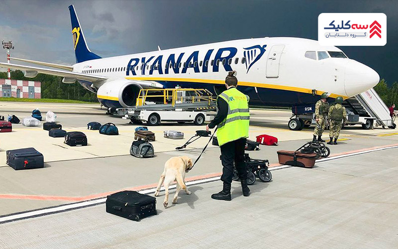 سگ های آموزش دیده