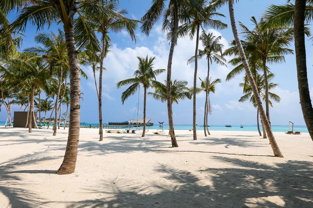 بهترین زمان سفر به کیش؛ تابستان یا زمستان؟