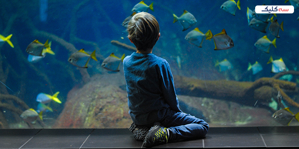 وقتشه بریم آکواریوم اصفهان