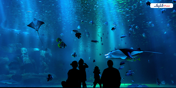 آکواریوم اصفهان، ساعت بازدید، آدرس، تلفن 