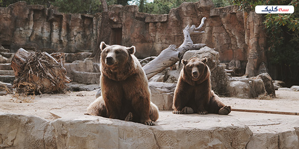 باغ وحش های استانبول