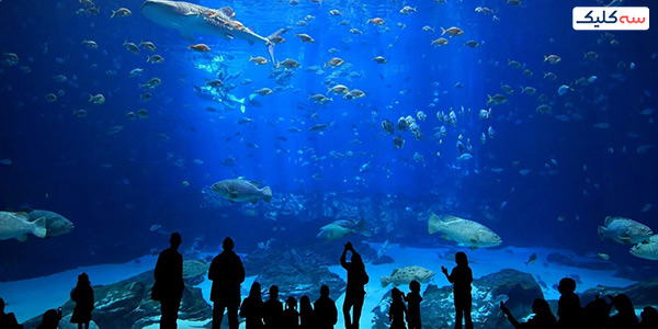 باغ وحش های استانبول