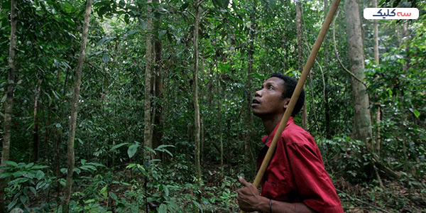 قبیله ماه مری مالزی