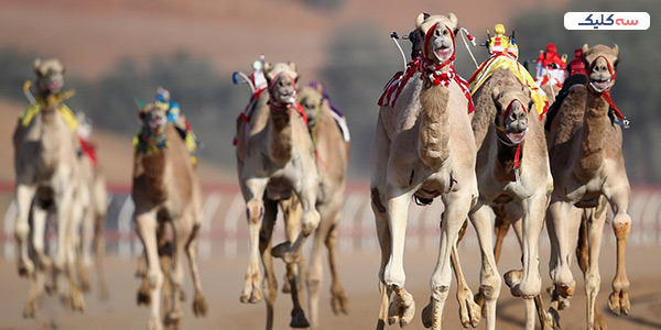 قلعه زوباره