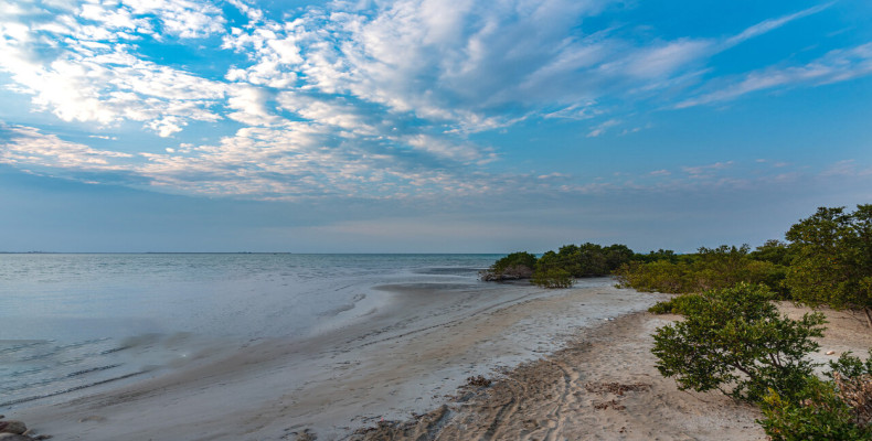 ساحل نایبند از جاهای دیدنی بندرعباس