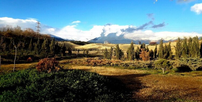 پارک جنگلی پردیسان تهران