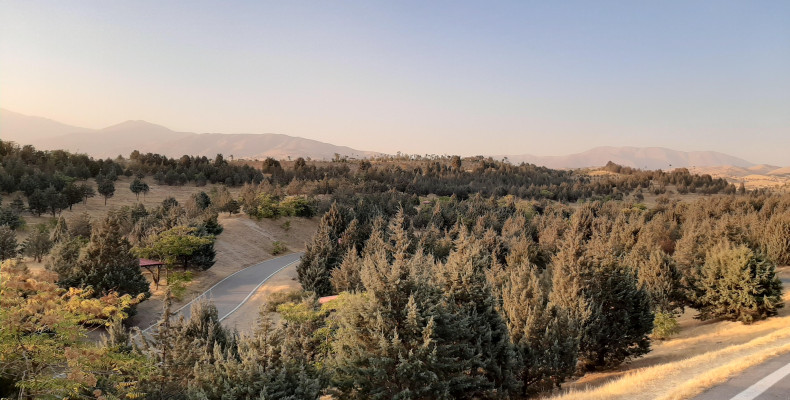 پارک های جنگلی تهران؛ سوهانک