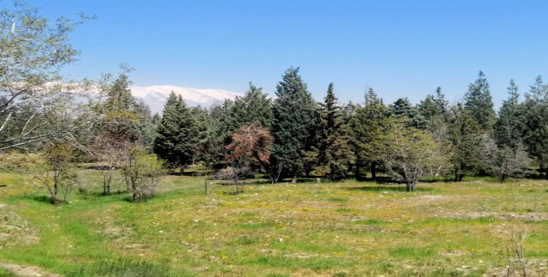 پارک جنگلی خرگوش‌دره تهران