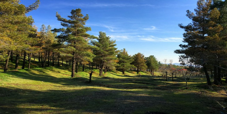 پارک های جنگلی تهران| 16 از بهترینها با آدرس+ عکس و امکانات