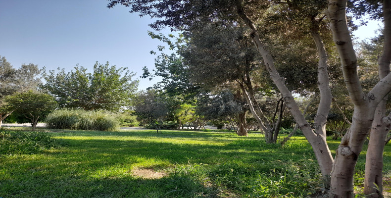 پارک های جنگلی تهران؛ وردآورد