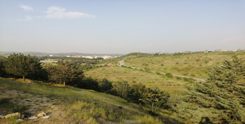 پارک جنگلی یاس فاطمی تهران