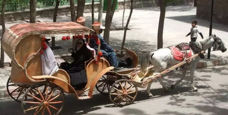 درشکه ‌سواری در ائل گلی