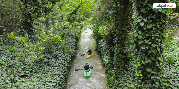 مادی نیاصرم