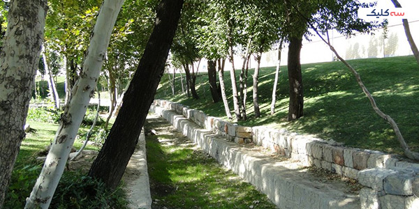 مادی شاهپسند