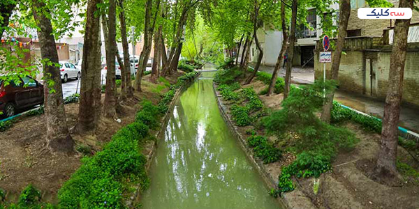 مادی فرشادی