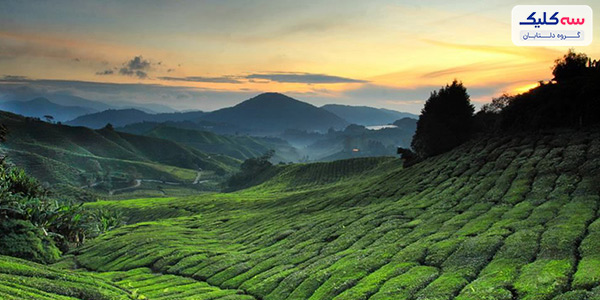 شهرهای دیدنی مالزی