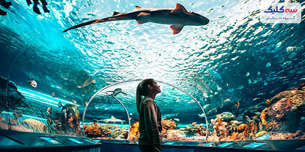 دیدنی‌های تورنتو   شهری پر از جاذبه‌های توریستی، فروشگاه‌ها متنوع، رستوران‌های خوشمزه با دکورها عجیب و زیبا، کافه‌های دنج، موزه‌هایی پر از شگفتی، خیابان‌هایی سرشار از حس زندگی؛ می‌خواهید بدانید این شهر کجاست؟  تورنتو، بزرگترین شهر کانادا، فراتر از تصور شماست. در اینجا هرگز دچار روزمرگی زندگی نخواهید شد؛ چون همیشه یک کار برای انجام دادن و یک تفریح و سرگرمی وجود دارد. از دیدنی‌های تورنتو بخواهیم بگوییم؛ تمام نشدنی است. در کوچه به کوچه این شهر مکان‌های جذابی وجود دارد که از کشف هر کدام به وجد می‌آیید. پس قبل از رزرو بلیط هواپیما تهران-تورنتو، درباره جاهای دیدنی این شهر بیشتر بدانید. 10 مورد از جاذبه‌های برتر تورنتو 2022 همانطور که گفتیم، جاذبه‌های تورنتو بسیار زیاد است. با این حال ما 10 مورد از دیدنی‌های تورنتو که برای گردشگران جذاب و فراموش نشدنی بودن را به شما معرفی می‌کنیم.  1)	برج  CN   برج CN یکی از هفت عجایب دنیای مدرن است؛ اینجا که از بزرگترین نقاط دیدنی کانادا به حساب می‌آید؛ هر گردشگری مجذوب خود می‌کند. البته بی دلیل هم نیست! می‌توانید با آسانسور به رستوران گردان 360 بروید و تجربه‌ای متفاوت و هیجان‌انگیز از غذا خوردن داشته باشید. حتی می‌توانید کمی جسارت به خرج دهید و روی کف شیشه‌ای در طبقه 113 راه بروید. اگر به این هیجان هم راضی نبودید 33 طبقه دیگر بالا بروید و از طریق اسکای پاد (Sky Pod) و دوربین‌های چشمی تمام شهر تورنتو را تماشا کنید. اما، اگر دل و جرات شما بیشتر از این چیزهاست، با بستن تسمه به بیرون از برج و لبه ساختمان بروید و با قدم زدن در ارتفاع 553 متری آدرنالین خونتان را به بالاترین سطح برسانید.   2)	موزه سلطنتی انتاریو (Royal Ontario Museum)   شاید شما علاقه‌ای به گشتن در موزه نداشته باشید؛ اما به ما اعتماد کنید؛ چون موزه سلطنتی انتاریو با آنچه که تابحال دیده‌اید، کاملا متفاوت است. بزرگترین موزه فرهنگ‌های جهان و تاریخ طبیعی که قدمتی 100 ساله دارد دقیقا در مرکز شهر تورنتو قرار گرفته است. با توجه به ورودی اصلی چشمگیر موزه، معروف به کریستال حتما این موزه به چشمتان می‌خورد و سریعا شما را جذب می‌کند. در داخل موزه، نمایشگاه‌هایی را در خود جای داده است که از دایناسورها تا مصر باستان تا اولین ملل کانادا را شامل می‌شود. خلاصه بگوییم در اینجا، با هنر، تاریخ، باستان شناسی، کانی شناسی، زمین شناسی، دیرینه شناسی، جانورشناسی، و عناصری از هر نوع شناسی دیگری که احتمالا می‌توانید تصور کنید، مواجه خواهید شد! 3)	آکواریوم ریپلی کانادا (Ripley’s Aquarium of Canada)   آیا تابحال با کوسه رو در رو شده‌اید؟ آکواریوم ریپلی به شما فرصت تجربه این هیجان را می‌دهد. البته فقط این نیست! در این آکواریوم حدود 16 هزار موجودات دریایی دیگر نیز وجود دارد؛ از خرچنگ‌های کوچک گرفته تا خرچنگ‌های غول پیکر 65 ساله، اختاپوس‌های بزرگ اقیانوس آرام و چتر دریایی گزنه. وجود یک تونل زیر آب در این آکواریوم با گذرگاه‌های متعدد باعث می‌شود تا دنیای زیر اقیانوس را از نزدیک تماشا کنید. این قطعا تجربه‌ای مهیج و فراموش‌نشدنی و جز جالب‌ترین دیدنی‌های تورنتو برای شما خواهد بود.  4)	منطقه تاریخی و تفریحی (Distillery Historic District)   وجود انواع رستوران‌ها، بوتیک‌ها، هنرهای دیدنی و سرگرمی‌های هیجان‌انگیز، باعث شهرت منطقه Distillery Historic District شده‌اند و آن را به یکی از جذاب‌ترین دیدنی‌های تورنتو تبدیل کرده است. برای یک گردشگر که به دنبال مکان‌های مدرن است اما در عین حال به دیدن جاهای قدیمی هم علاقه دارد؛ اینجا بهترین مکان است. غذاهایی خوشمزه در رستوران‌های با دکوراسیون جالب که در پشت دیوارهای آجری قرمز فرسوده پنهان شده‌اند. از طرفی هم وجود گالری‌های هنری و مکان‌های اجرای موسیقی زنده، حال و هوایی پر از زندگی و نشاط را برای گردشگران ایجاد می‌کنند.  5)	بازار کنزینگتون (Kensington Market)   در این بازار با دیدن مغازه‌های رنگارنگ و شور و هیجان خرید مردم، احساس سرزندگی و نشاط را از نزدیک لمس خواهید کرد. به غیر از این‌ها هر آنچه را که تصور می‌کنید، از کافه‌های عجیب و غریب با دکورهای جالب گرفته تا انواع و اقسام مغازه‌های مختلف را در این بازار در کنار هم خواهید دید. اصلا لازم نیست برای خرید و با هدف خاصی به این بازار بروید؛ قدم زدن و وقت گذرانی در این بازار کافی است. به ما اعتماد کنید، در اینجا حتما به شما خوش می‌گذرد.  6)	کازا لوما (Casa Loma)   باور کنید یا نه، تنها قلعه بزرگ در آمریکای شمالی در تورنتو واقع شده است. کاسا لوما به معنای واقعی کلمه همه چیزهایی را که از یک قلعه بخواهید دارد. برجک‌هایی که مناظر زیبایی از شهر را در جلوی چشمانتان قرار می‌دهند. یک کتابخانه بزرگ و نزدیک به 100 اتاق جالب که جستجو و کاوش در هر کدام بسیار هیجان‌انگیز و است. گذرگاه‌های مخفی که قدم زدن در آنها ممکن است کمی بترسید. همچنین، تونلی 245 متری به اصطبل، خانه کالسکه و پنج هکتار باغ پر از گل‌ها، مجسمه‌ها و فواره‌های زیبا دارد. کازا لوما قطعا از زیباترین دیدنی‌های تورنتو است که نباید آن را از دست داد.  7)	پارک ملی روژ (Rouge National Urban Park)   پارک ملی روژ، بهشت دیدنی‌های تورنتو و تنها پارک ملی تورنتو است. اگر دوست دارید به دل طبیعت منحصربفرد و زیبای تورنتو بروید؛ این پارک قطعا گزینه مناسبی خواهد بود. فضایی سرسبز با امکانات مناسب در مساحتی به اندازه 79 کیلومتر مربع این امکان را برای شما فراهم می‌کند تا انواع تفریحات متنوع مانند دوچرخه‌سواری، پیاده‌روی، شنا، کایاک سواری، کمپینگ با دوستانتان تجربه کنید و لحظات سرشار از نشاط و آرامش داشته باشید.  8)	جزایر تورنتو (Toronto Islands)   برای ورود به دنیایی کاملا متفاوت، فقط باید 10 دقیقه از شهر تورنتو سفر کنید. سوار کشتی شوید و سفری به جزایر تورنتو را آغاز کنید، مقصدی پر از جاذبه و از آرام‌ترین دیدنی‌های تورنتو که سرشار حس آرامش است. در اینجا، هیچ ماشینی وجود ندارد، بنابراین برای گشت و گذار در سه جزیره بزرگ آن که بوسیله یک سری مسیرها و پل‌ها به هم متصل شده‌اند؛ دوچرخه کرایه کنید. سواحل جزایر تورنتو بسیار زیبا، تمیز و دارای امکانات مناسب هستند که با وجود منظره‌های اطراف آن، این زیبایی دو چندان شده است. این را هم اضافه کنیم که قرار نیست فقط استراحت کنید و آفتاب بگیرید؛ قایق‌های پارویی، انواع ورزش‌های مهیج آبی و حتی اسب‌سواری در انتظار شما خواهند بود.  9)	بازار سنت لارنس (St. Lawrence Market)   درست در وسط منطقه تاریخی شهر قدیمی تورنتو، یکی از بهترین مقاصد غذاخوری شهر را خواهید یافت: بازار سنت لارنس. اگر به دنبال جایی از دیدنی های تورنتو هستید که خوشمزه باشد و بتوانید دلی از عزا درآورید، این بازار قطعا برای شماست. حتی اگر گرسنه هم نباشید با بوی محصولات تازه این بازار حتما هوس خوردن خواهید کرد. انواع غذاهای دریایی، پنیرهای خوشمزه، غذاهای آماده و.... . البته در این بازار پوشاک، جواهرات و وسایل دیگر برای سوغاتی هم پیدا می‌کنید.  10)	آبشار نیاگارا (Niagara Falls)   آبشار نیاگارا در شهر تورنتو نیست ولی فقط با حدود یک ساعت و نیم رانندگی می‌توانید به زیباترین و بزرگترین آبشار جهان برسید. فقط عظمت و زیبایی این آبشار را از نزدیک ببینید قطعا با خود می‌گویید که ارزش آمدن و وقت گذاشتن را دارد. آبشار نیاگارا از خارق‌العاده‌ترین دیدنی‌های تورنتو است. دیدن حجم بزرگ از آب خروشان که با شدت به سمت پایین سرازیر می‌شوند و رنگین کمان‌ها در کنار فضای سرسبز اطراف قطعا حال شما را خوب می‌کند. اگر حوصله نداشتی حتما سفر با تور را امتحان کنید ولی تحت هیچ شرایطی دیدن این آبشار را از دست ندهید.    در آخر فرقی نمی‌کند به تاریخ علاقه دارید یا به کشف مکان‌های جدید؛ اهل استراحت هستید یا به دنبال هیجان می‌گردیدغ تورنتو همه چیز برای شما دارد. جاذبه‌های این شهر سرسبز و زیبا تمام نشدنی است. اگر هوس سفر به مکان جالب و در عین حال مدرن را دارید قطعا تورنتو برای شما مناسب خواهد بود. به هر حال، چه برای سفر یا اقامت شناخت دیدنی‌های تورنتو دید وسیع‌تری از این شهر به شما می‌دهد. 