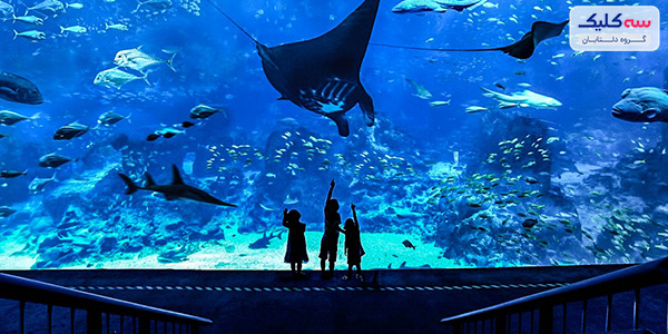 آکواریوم S.E.A