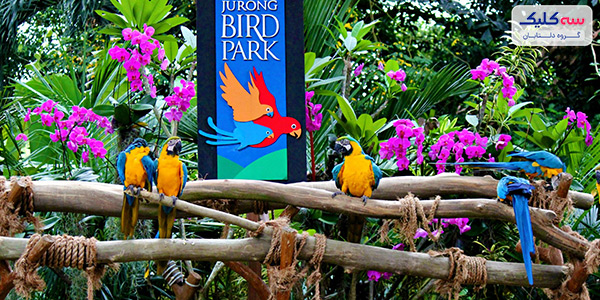 Jurong Bird Park