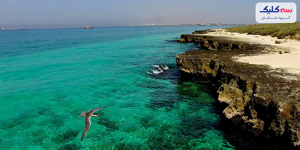 جزیره شیدور 