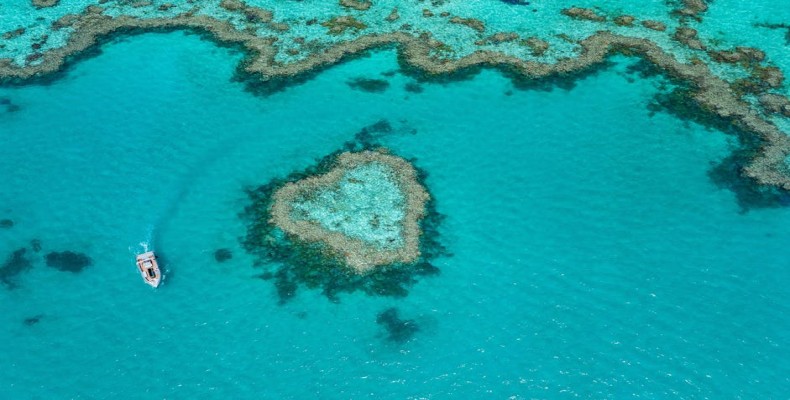 هارت ریف در استرالیا