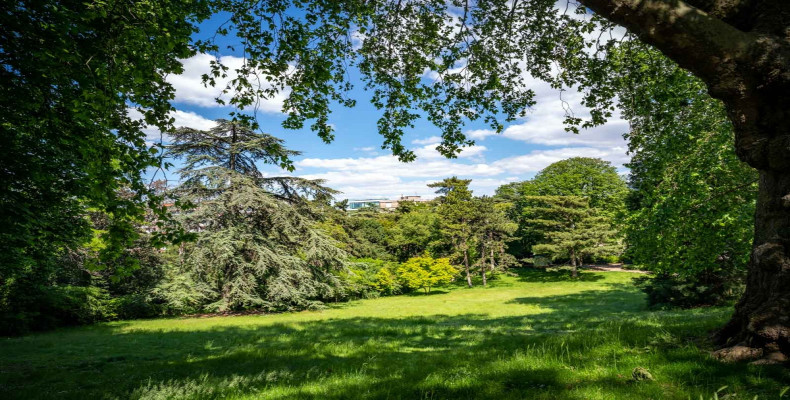 پارک مونسوریس پاریس