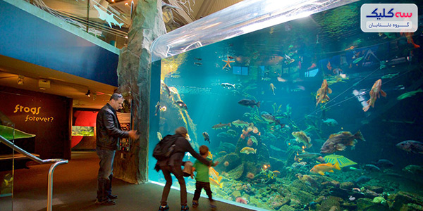 آکواریوم ونکوور