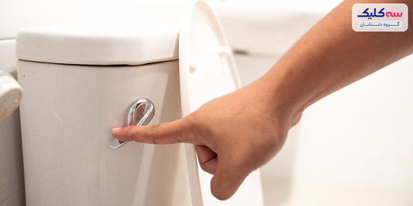 فرهنگ سنگاپور