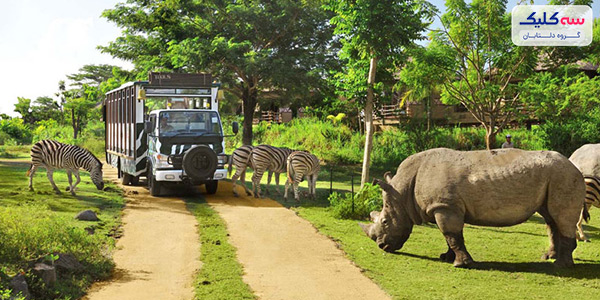 تفریحات جزیره بالی