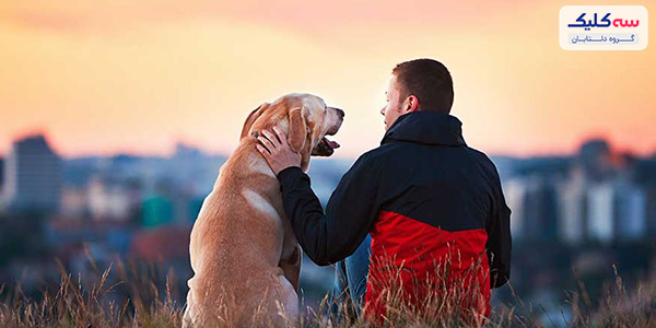 فقط یک سگ را بیرون ببرید