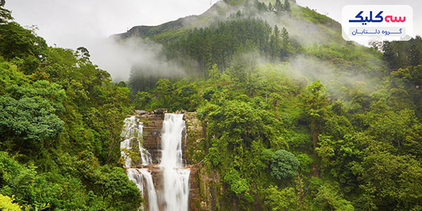 نووارا الییا