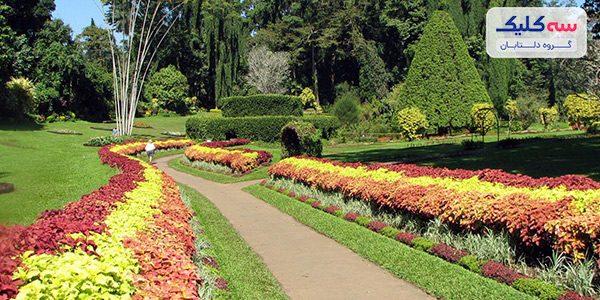 باغ گیاه‌شناسی پرادنیا رویال