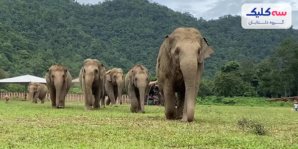 جاهای دیدنی تایلند