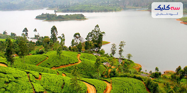 باغ گیاه‌شناسی پرادنیا رویال
