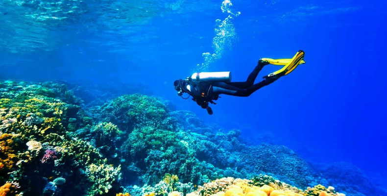 جزیره لاکچری کیش