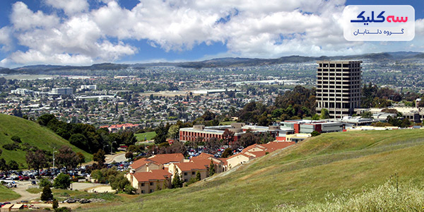 زندگی در سانفرانسیسکو