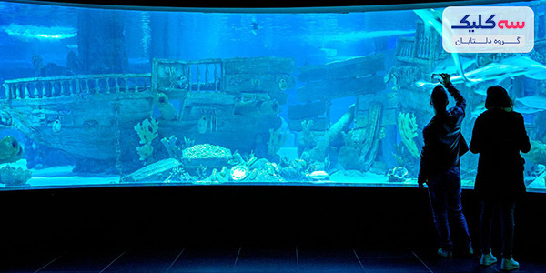 آکواریوم آکوا وگا