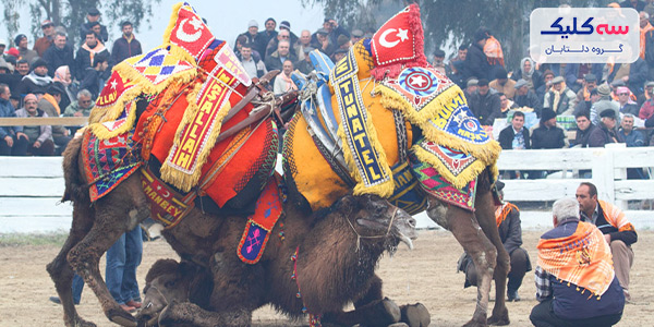 جشنواره‌های کوش آداسی