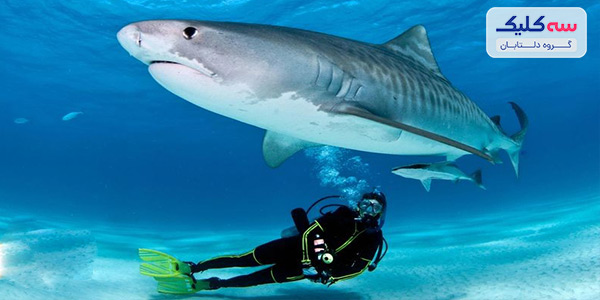 راهنمای سفر به مالدیو