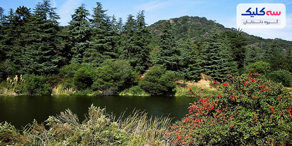 بورلی هیلز لس آنجلس 