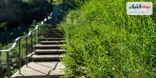 اغ بومی گوتلیب  (Gottlieb)