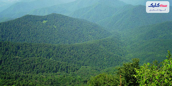 درباره سوچی