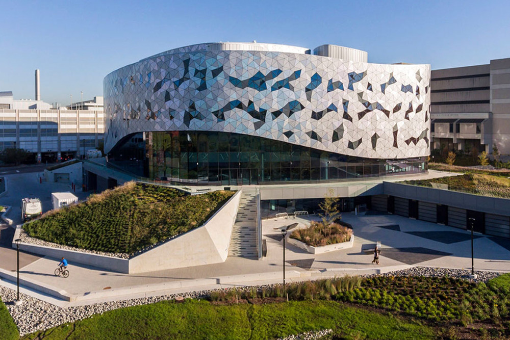 دانشگاه یورک