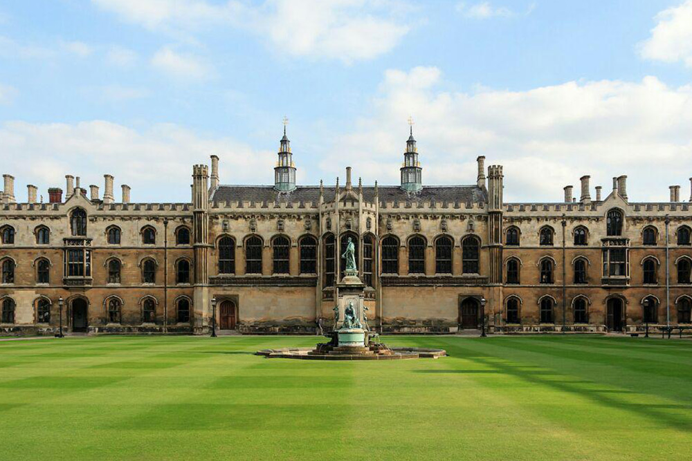 دانشگاه تورنتو