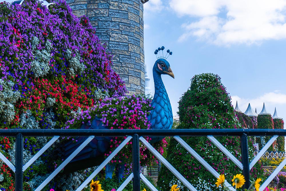 باغ میراکل دبی