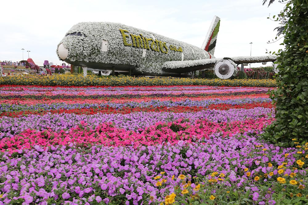 باغ میراکل دبی