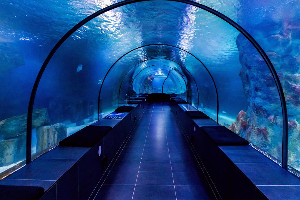 آکواریوم استانبول