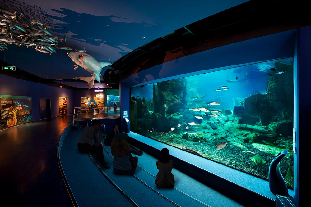 آکواریوم استانبول